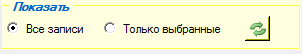 2. Панель вида текущей выборки